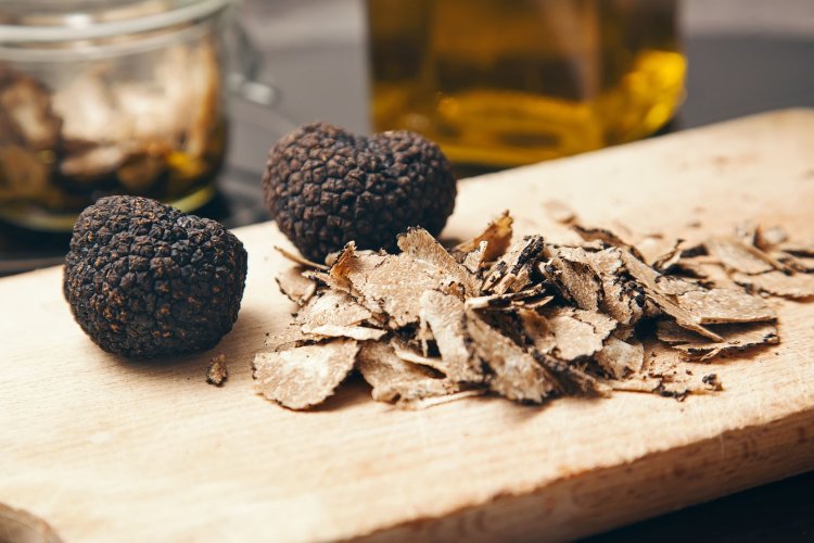 truffle mushroom : ఈ పుట్ట గొడుగులు… ఎలాంటి క్యాన్స‌ర్‌నైనా త‌గ్గిస్తాయ‌ట‌..!