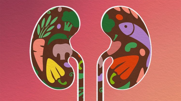 healthy kidneys ఆరోగ్య‌క‌ర‌మైన కిడ్నీల కోసం తీసుకోవాల్సిన‌  ఆహారం, జాగ్ర‌త్త‌లు