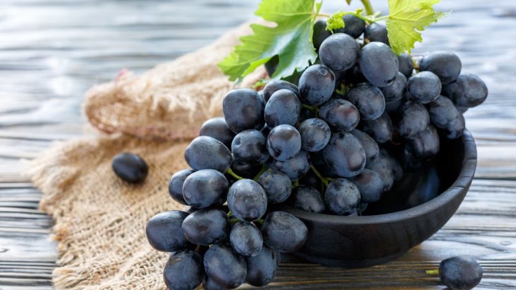 Grapes  : హైబీపీ, షుగర్‌ ఉన్నవాళ్లు నల్లద్రాక్షాలను తినొచ్చా..?