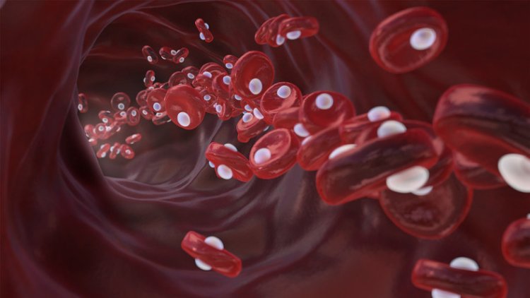Hemoglobin  : హిమోగ్లోబిన్ పెరగాలా.. ఈ ఆహారం తీసుకోవల్సిందే!