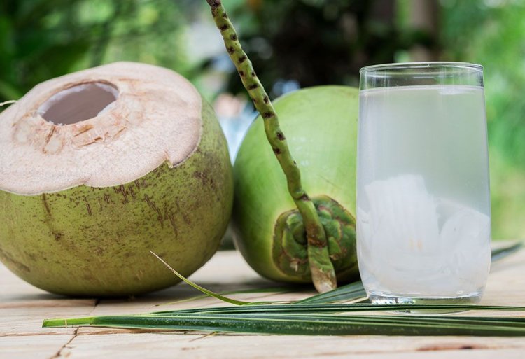 Coconut water : పరగడుపున కొబ్బరినీళ్లు తాగడం వల్ల ఏం జరుగుతుందో తెలుసా..?